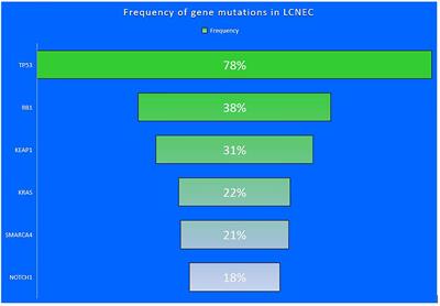 Treatment of Advanced-Stage Large Cell Neuroendocrine Cancer (LCNEC) of the Lung: A Tale of Two Diseases